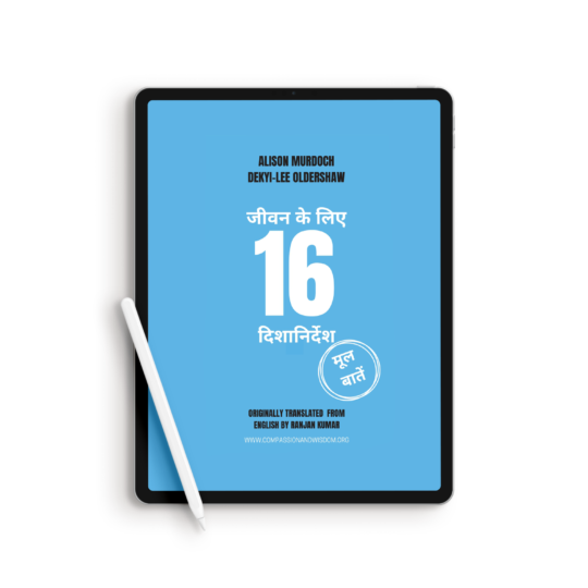 जीवन के लिया 16 दिशानिर्दश मूल बातें (eBook)
